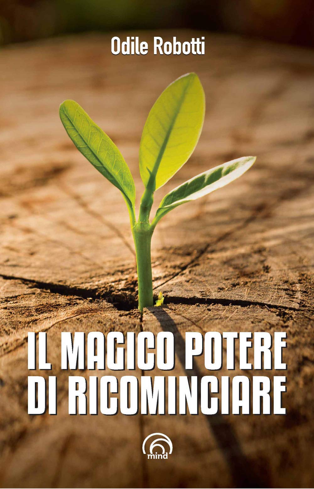 Il magico potere di ricominciare book