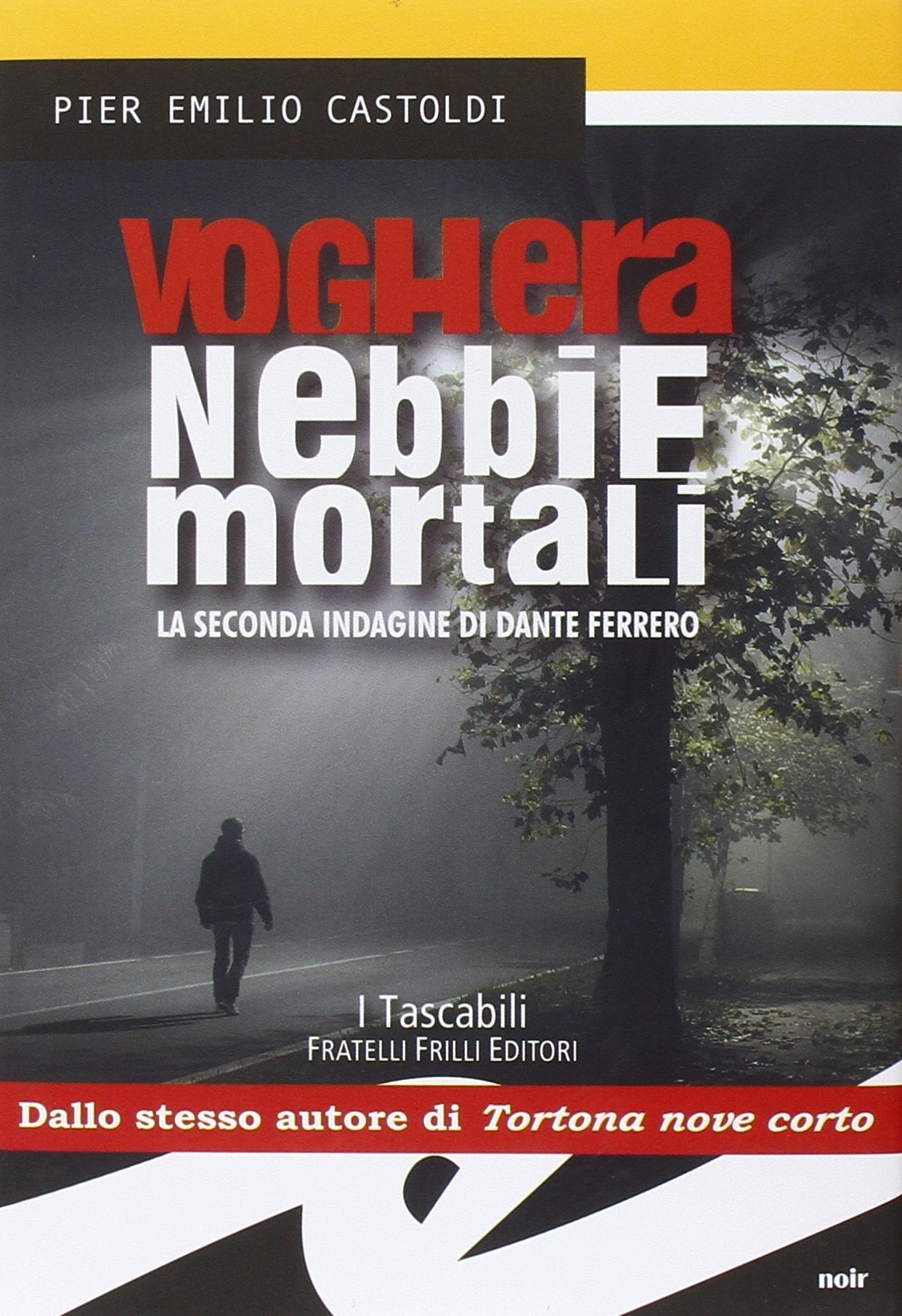 Voghera. Nebbie mortali. La seconda indagine di Dante Ferrero Contemporary literature