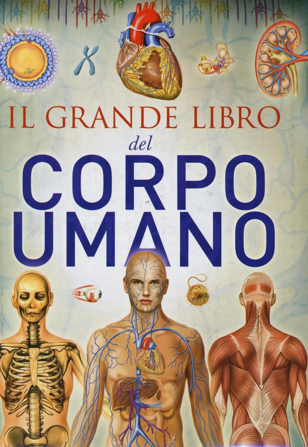 Il grande libro del corpo umano Non-fiction