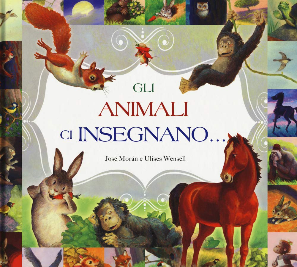 Gli animali ci insegnano.... Ediz. a colori book