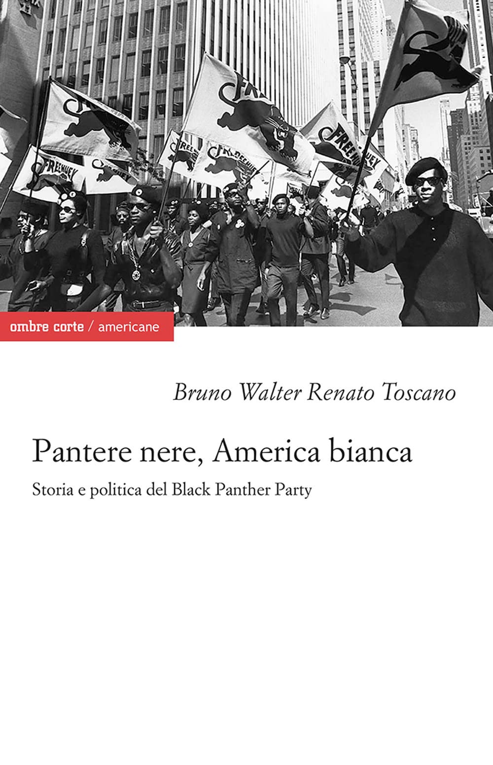 Pantere nere, America bianca. Storia e politica del Black Panther Party book