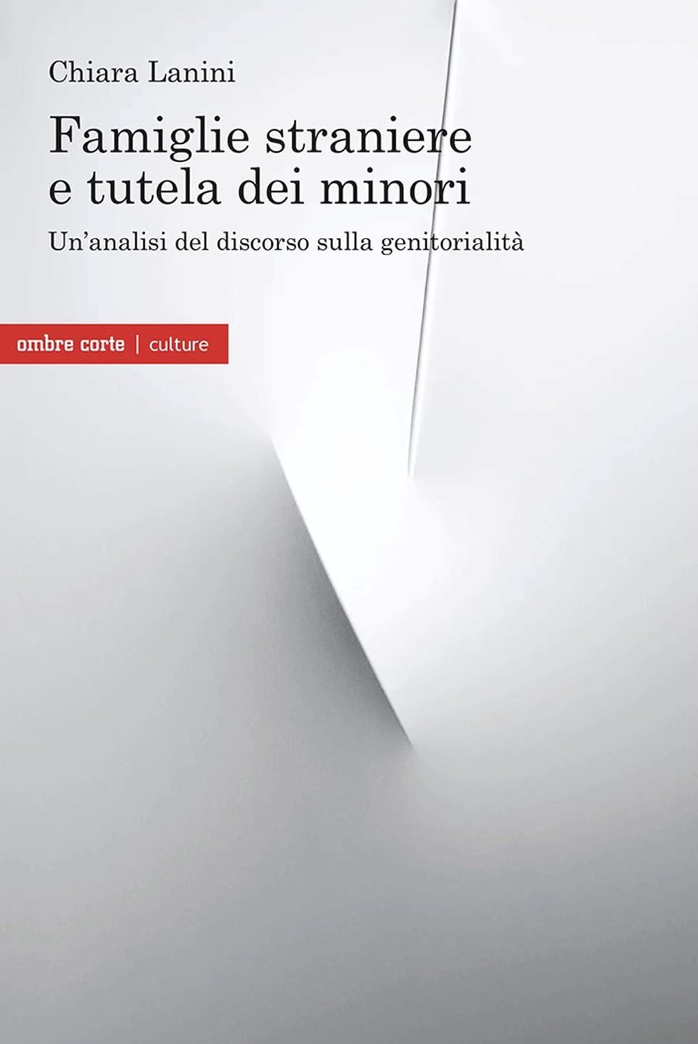 Famiglie straniere e tutela dei minori. Un'analisi del discorso sulla genitorialità Parents & Children