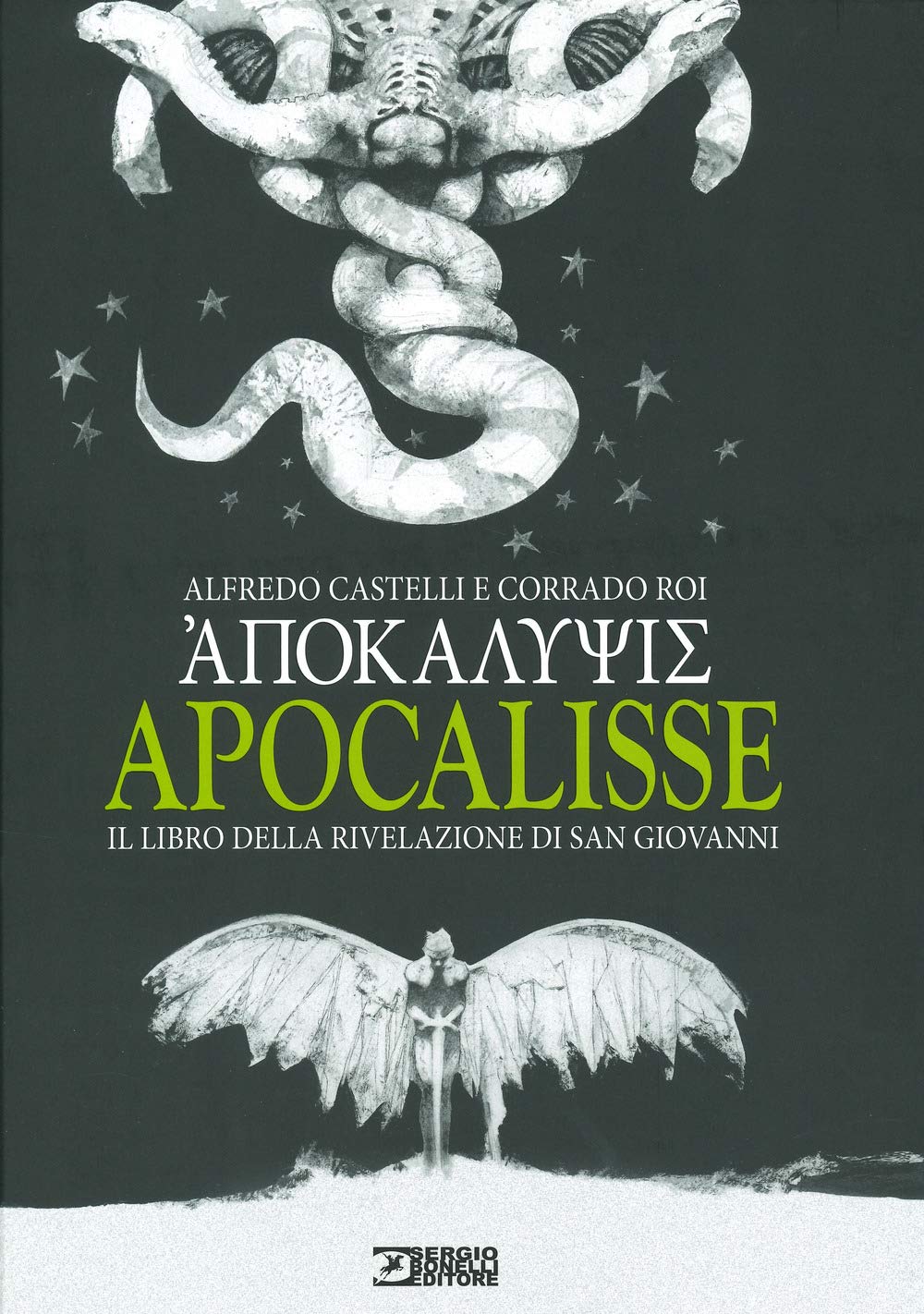 Apocalisse. Il libro della rivelazione di san Giovanni book