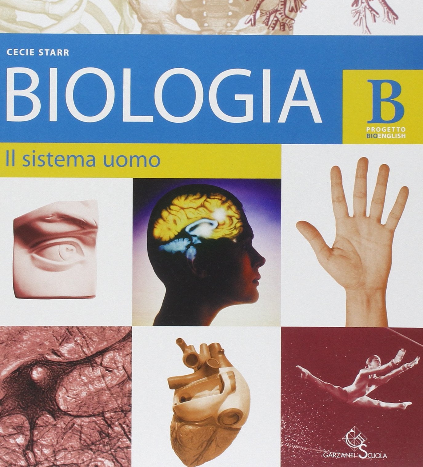 Biologia. Vol. B: Il sistema uomo. Per le Scuole superiori book