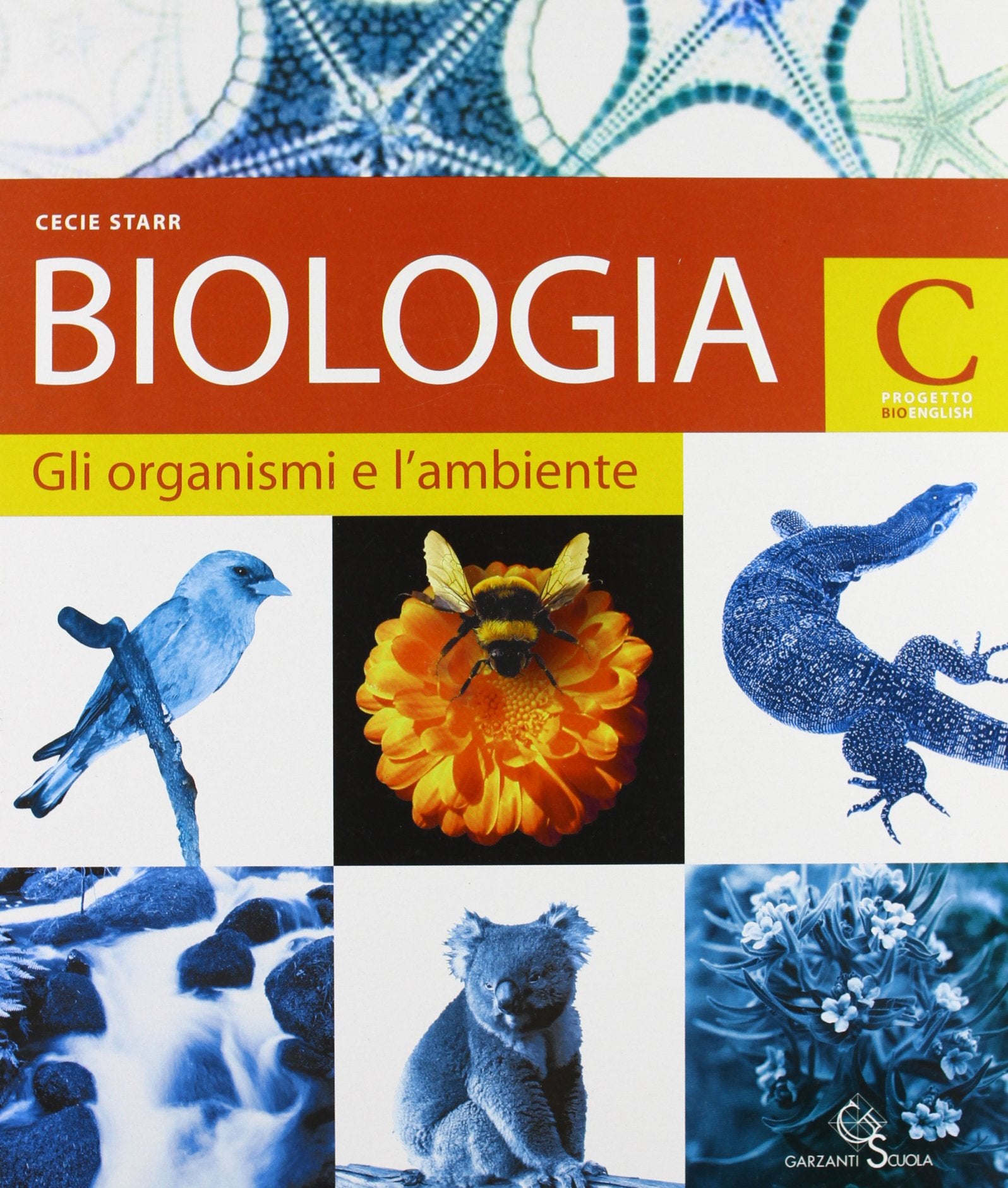 Biologia. Vol. C: Gli organismi e l'ambiente. Per le Scuole superiori Professional & Reference Books