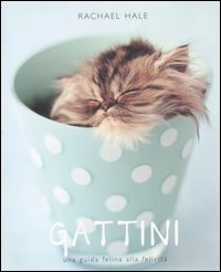 Gattini. Una guida felina alla felicità book