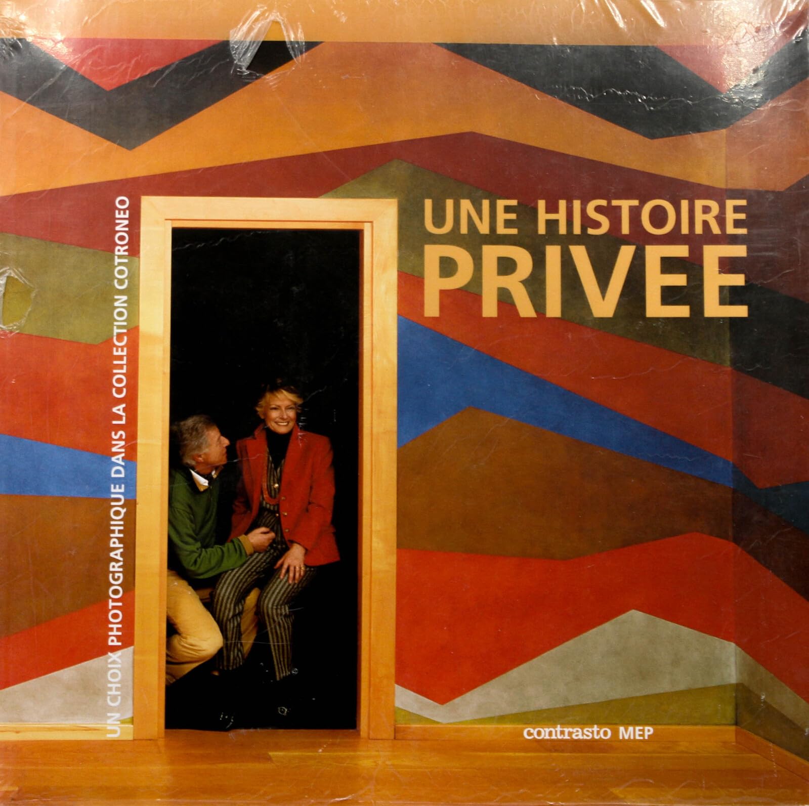 Une Histoire Privee: La Photographie Italienne Contemporaine Dans La Collection Anna Rosa Et Giovanni Cotroneo: Contemporary Italian Photography in the Anna Rosa and Giovanni Cotroneo Collection Travel Books