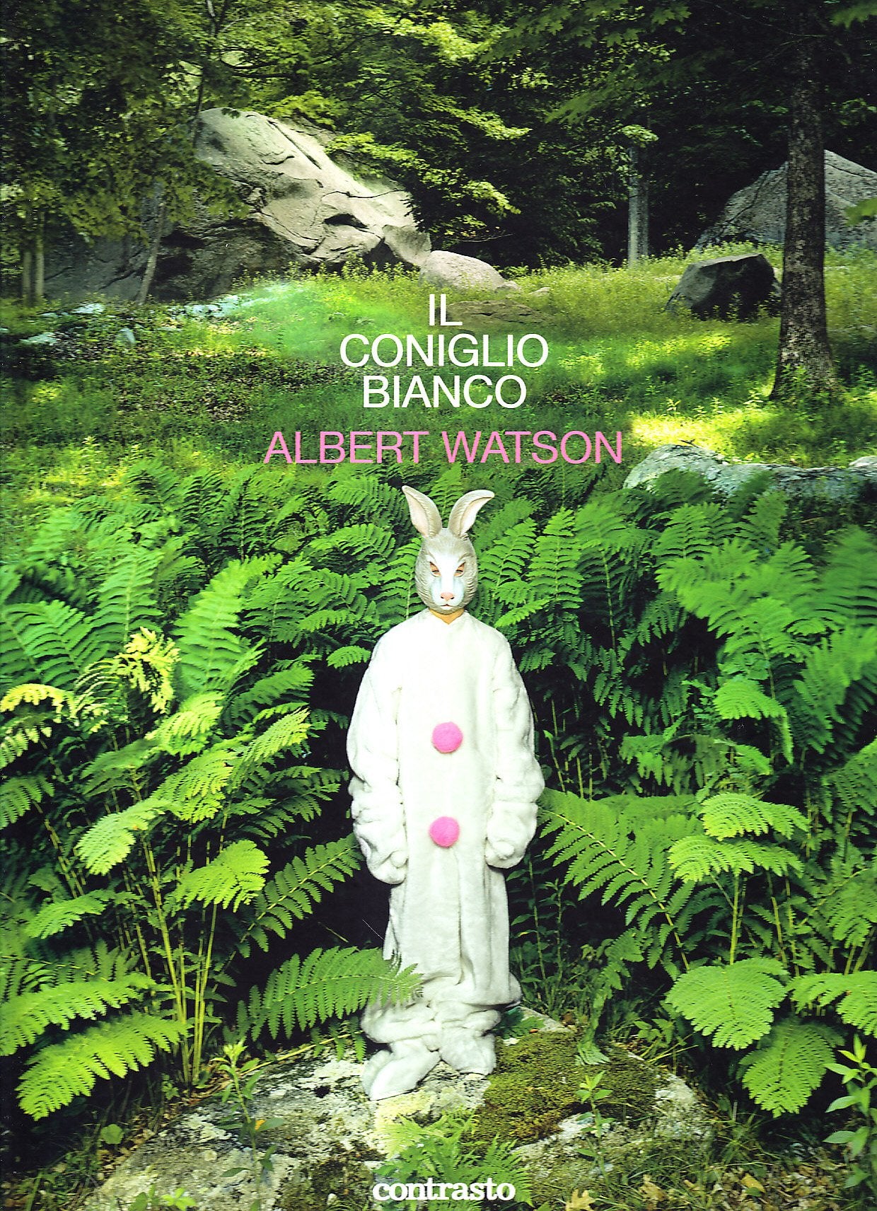 Il coniglio bianco Film, Art & Culture