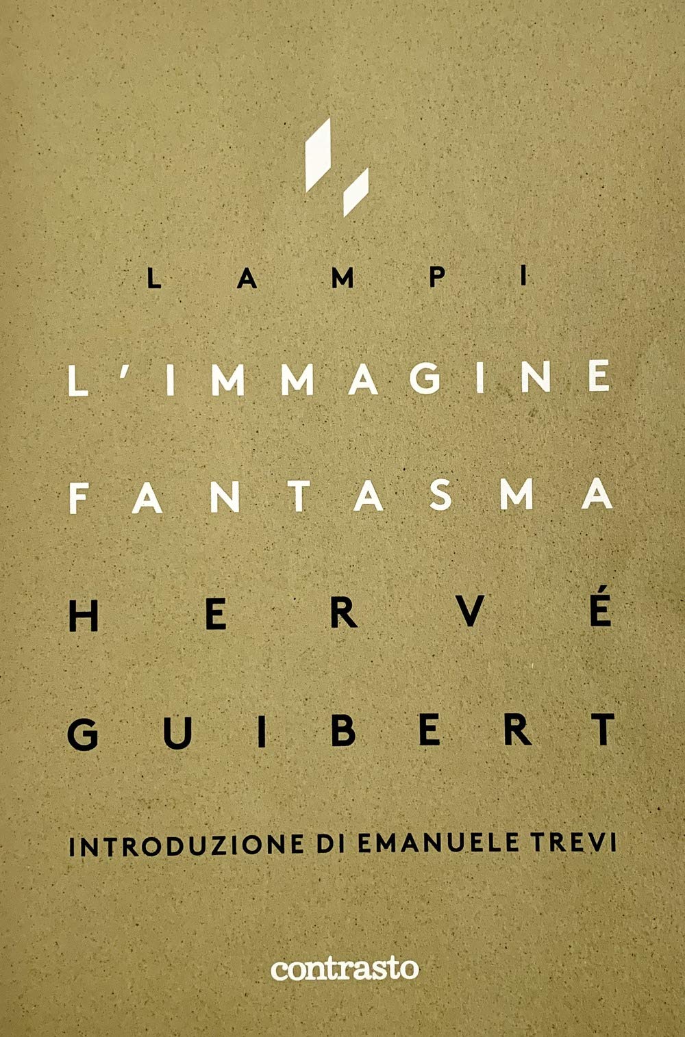 L'immagine fantasma book