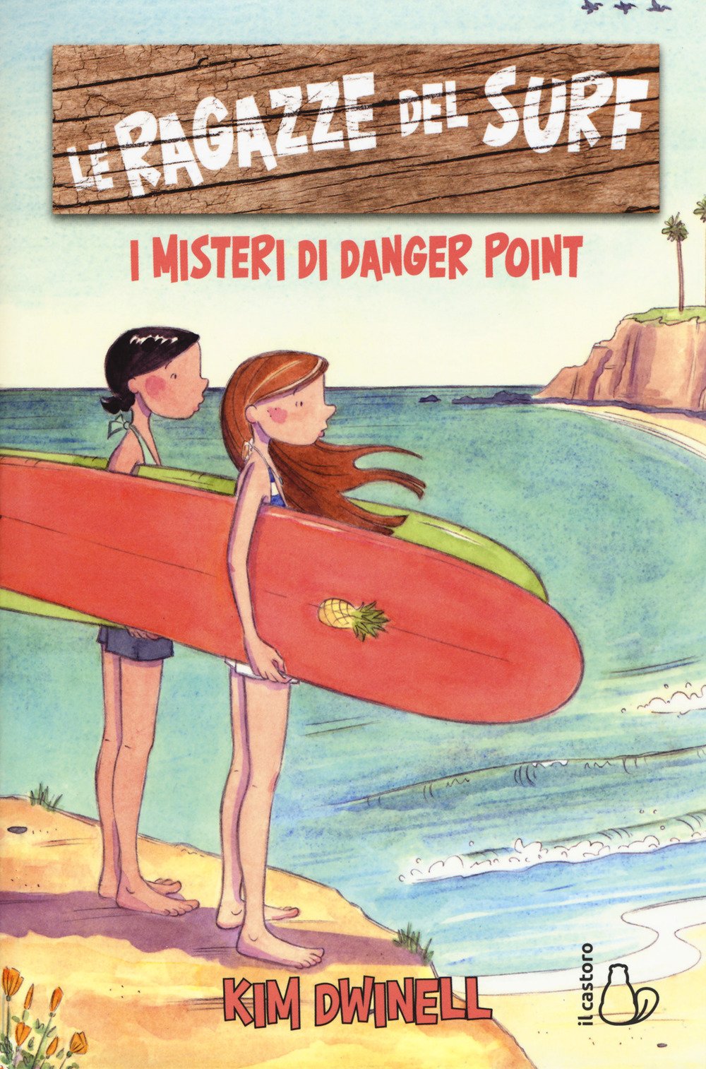 Le ragazze del surf. I misteri di Danger Point book