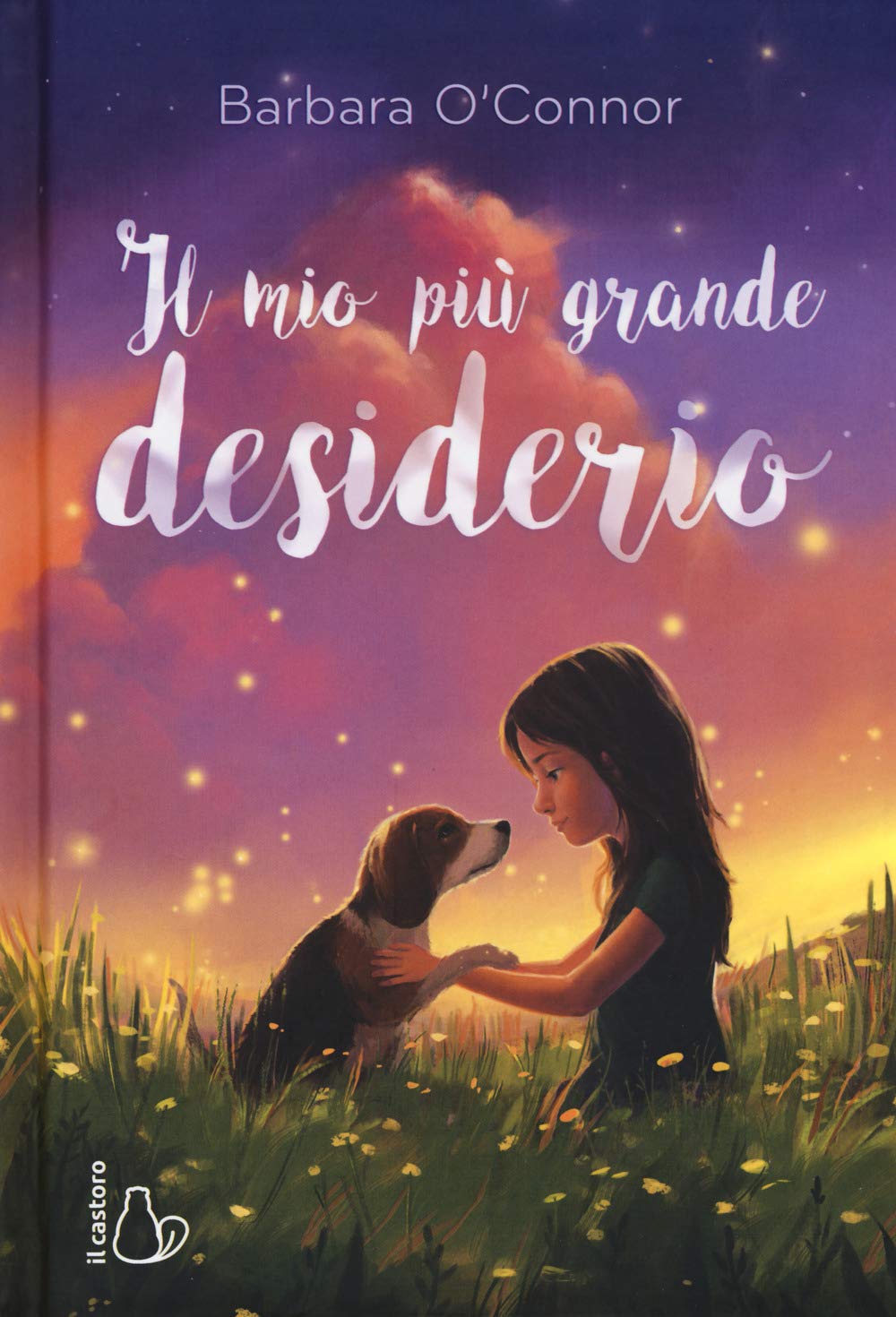 Il mio più grande desiderio book