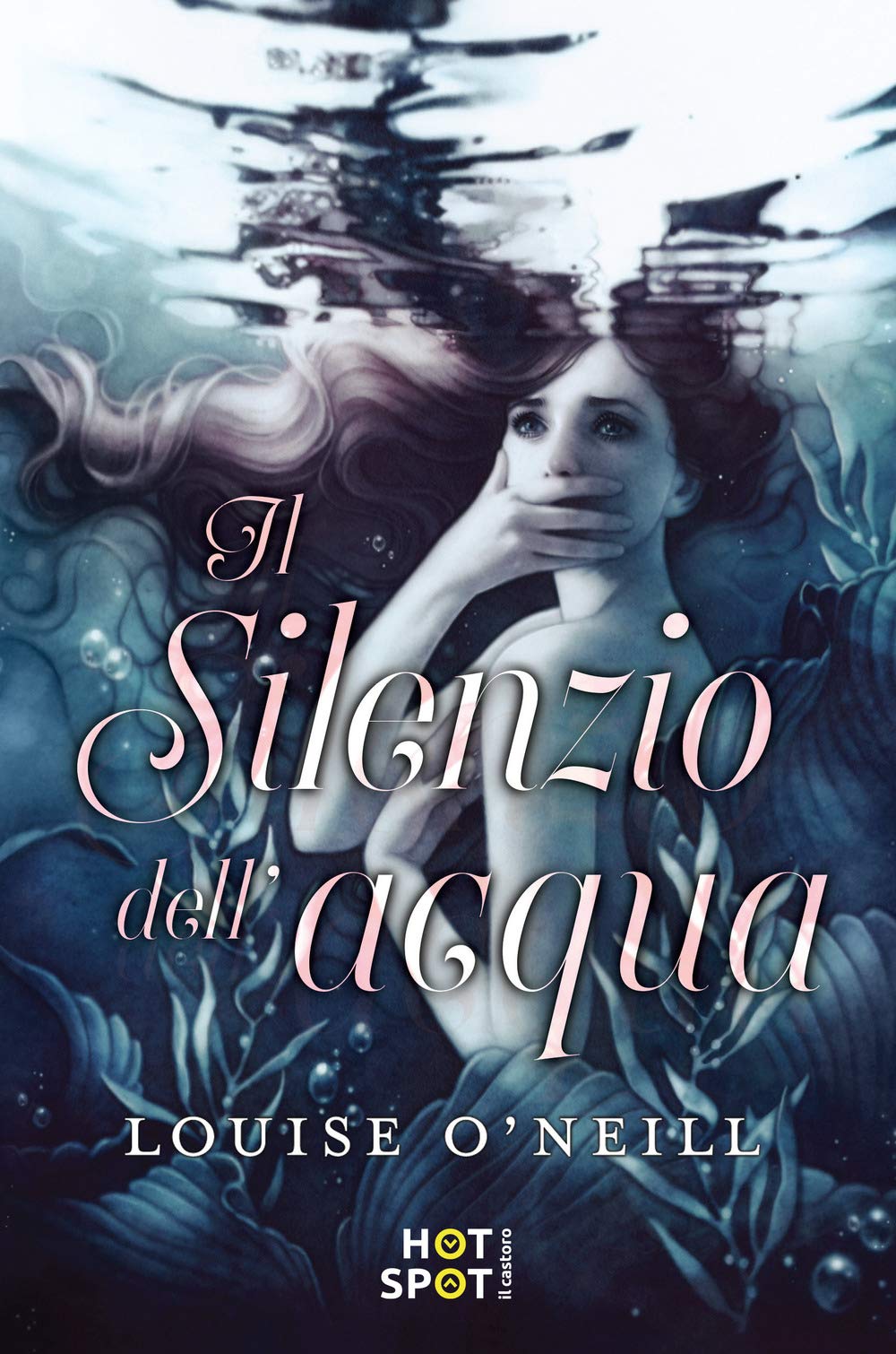 Il silenzio dell'acqua book