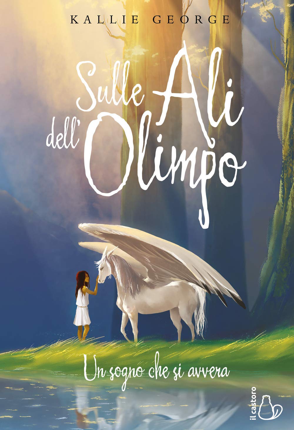 Sulle ali dell'Olimpo. Un sogno che si avvera book