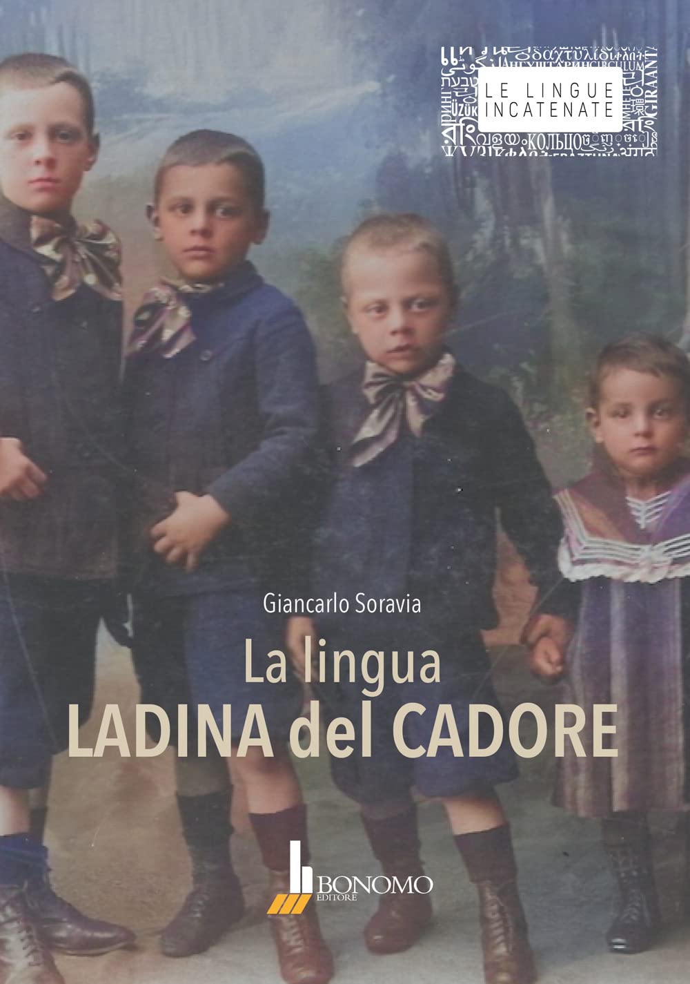 La lingua ladina del Cadore. Dialetto di venas (Le lingue incatenate) Social Sciences