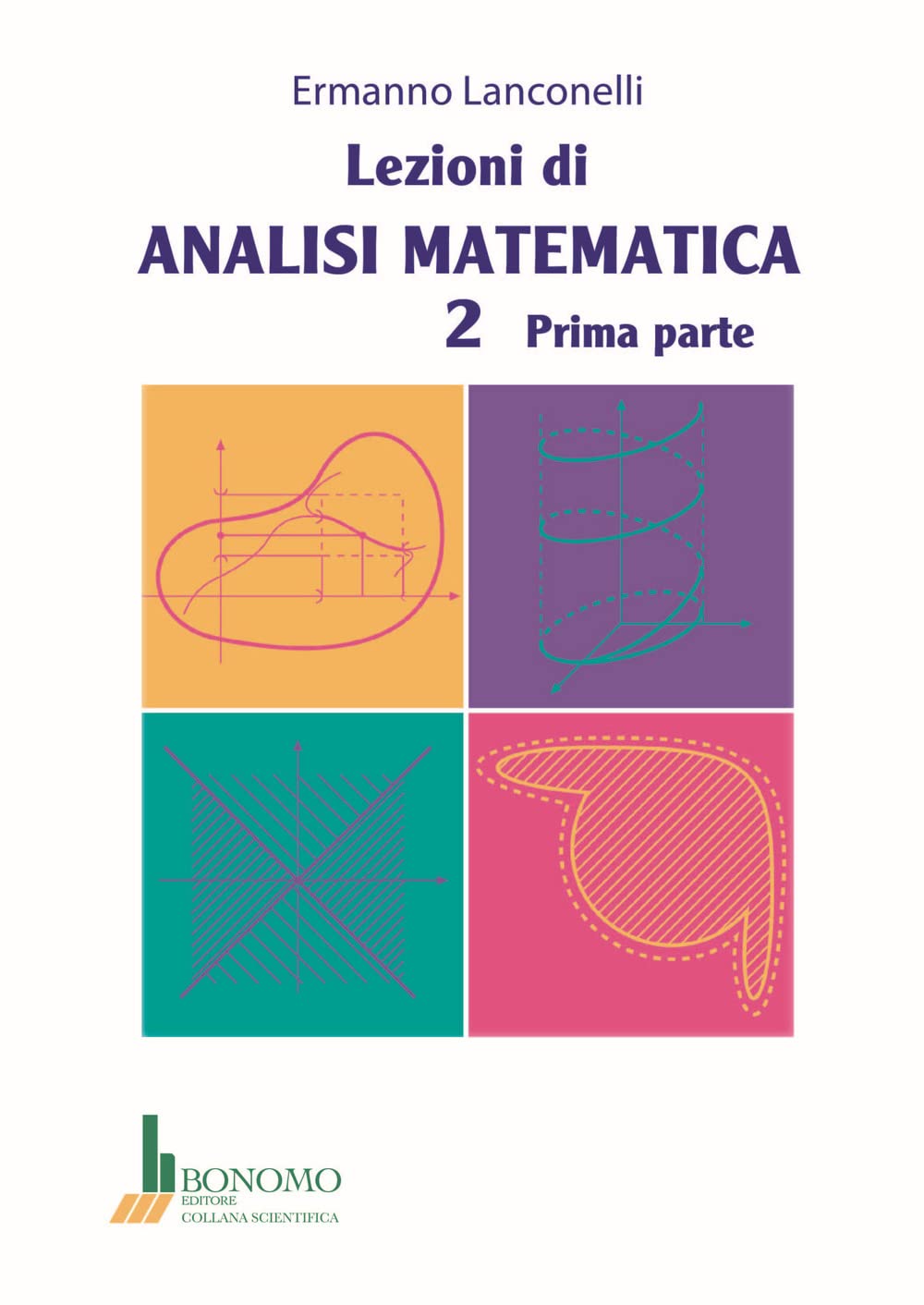 Lezioni di analisi matematica 2 (Vol. 1) Mathematics