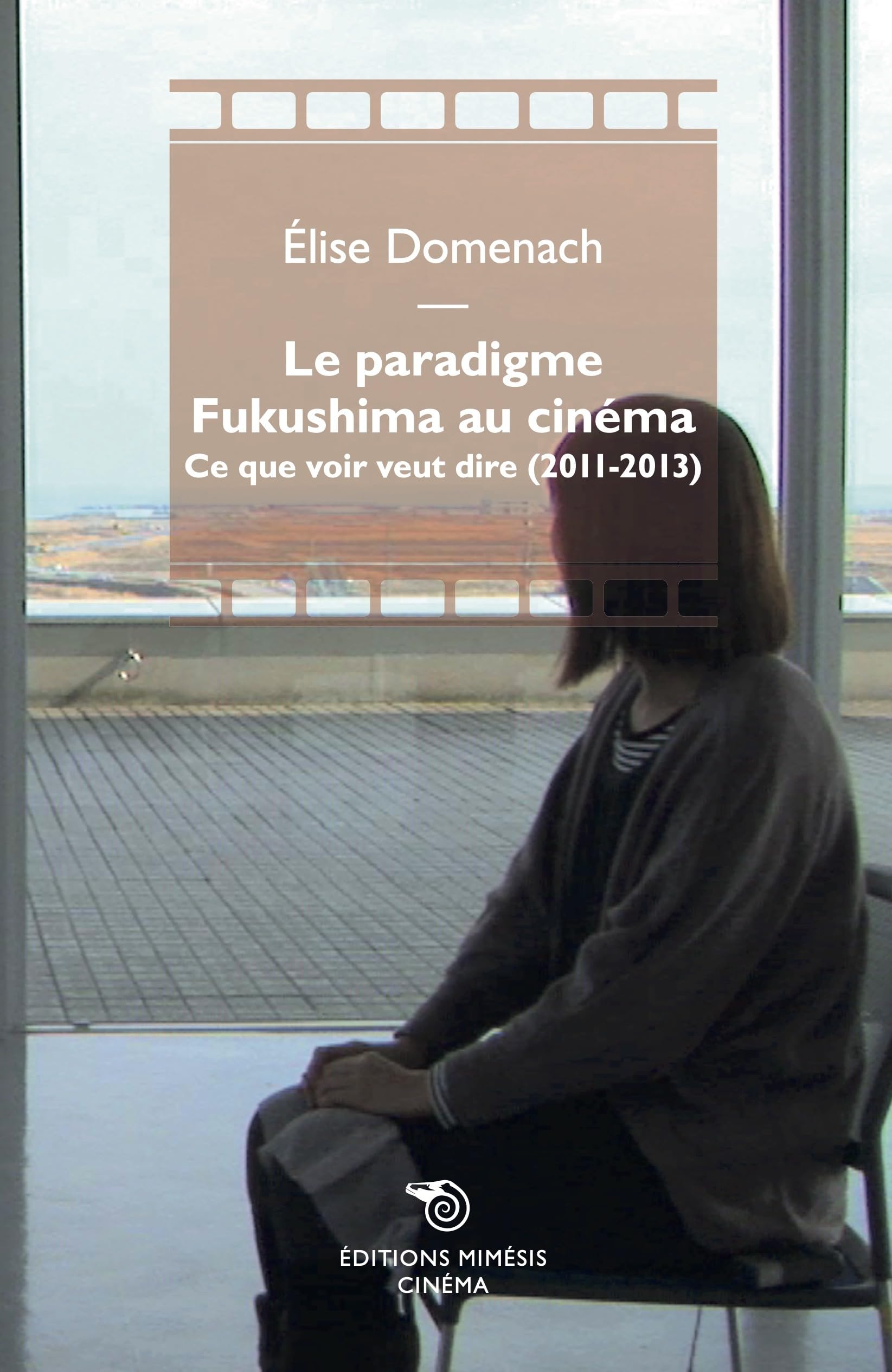 Le paradigme Fukushima au cinéma. Ce que voir veut dire (2011-2013) Books