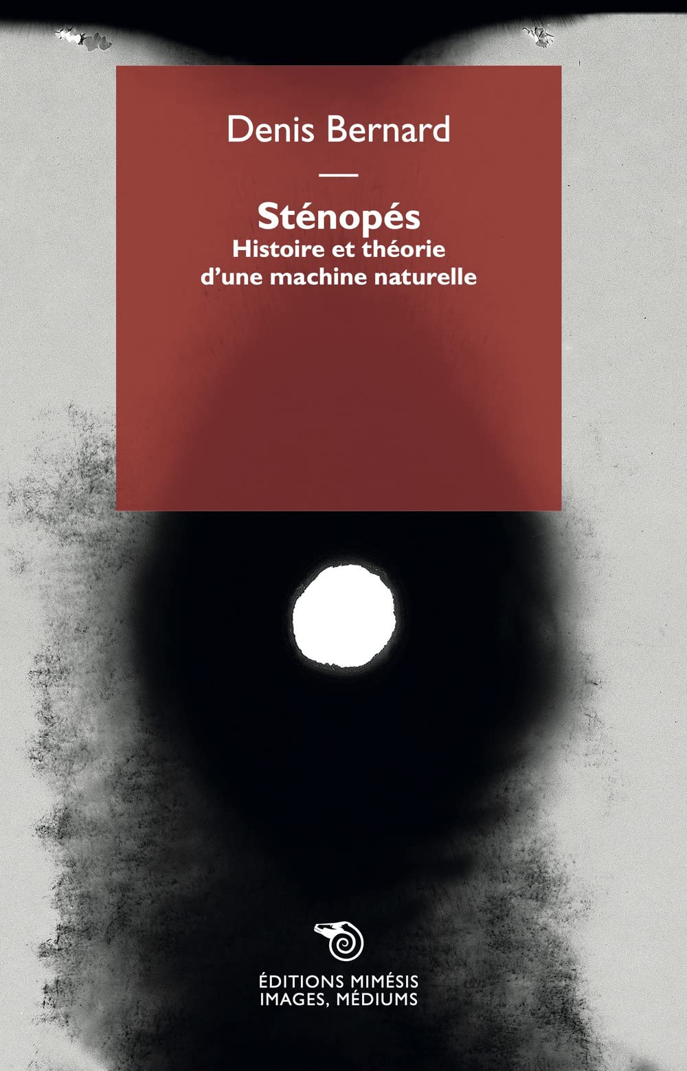 Sténopés : Histoire et théorie d'une machine naturelle book