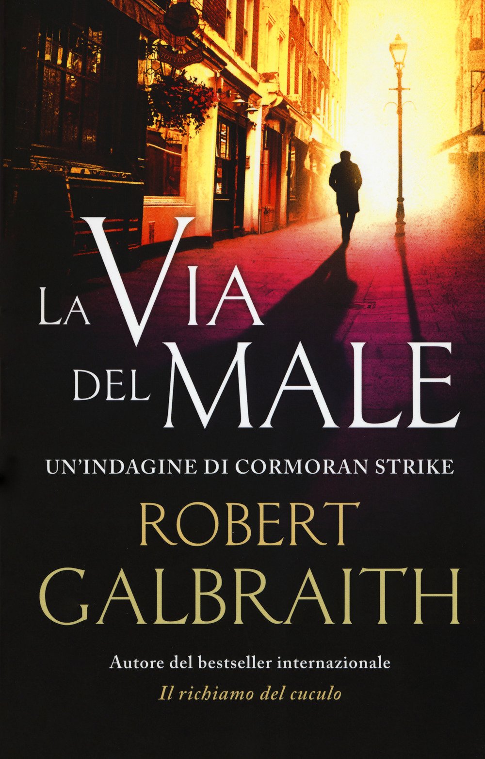 La via del male. Un'indagine di Cormoran Strike book