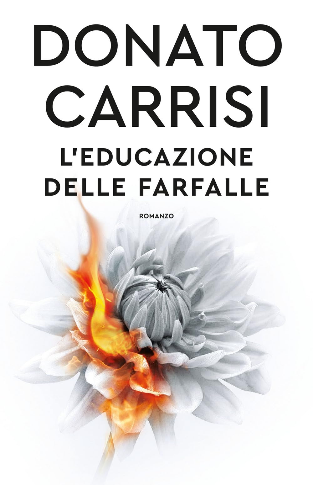L' educazione delle farfalle Action & Adventure