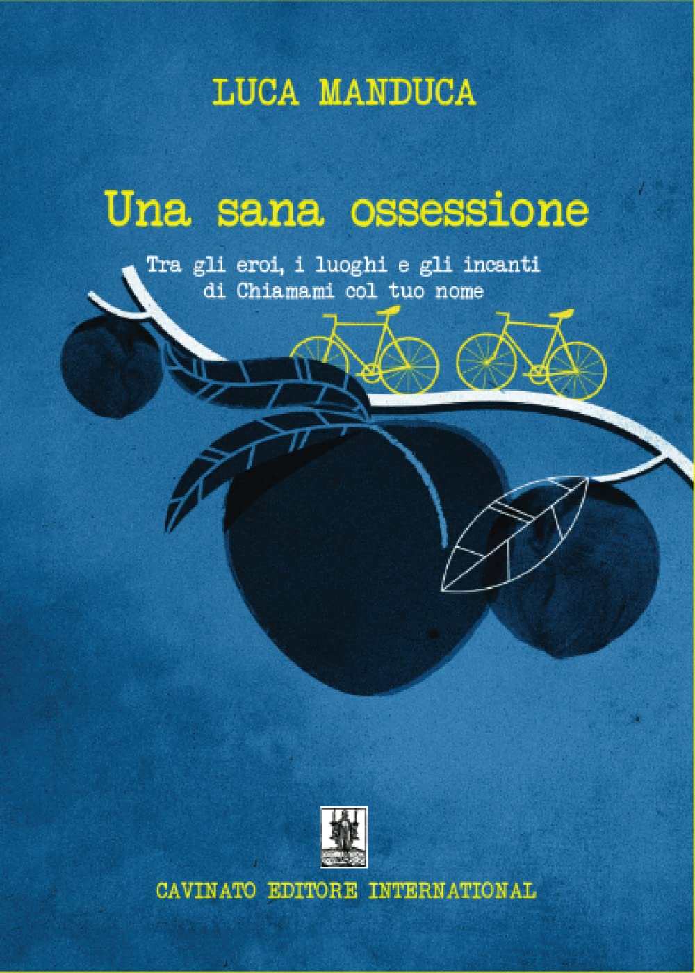 Una sana ossessione. Tra gli eroi, i luoghi e gli incanti di «Chiamami col tuo nome» book