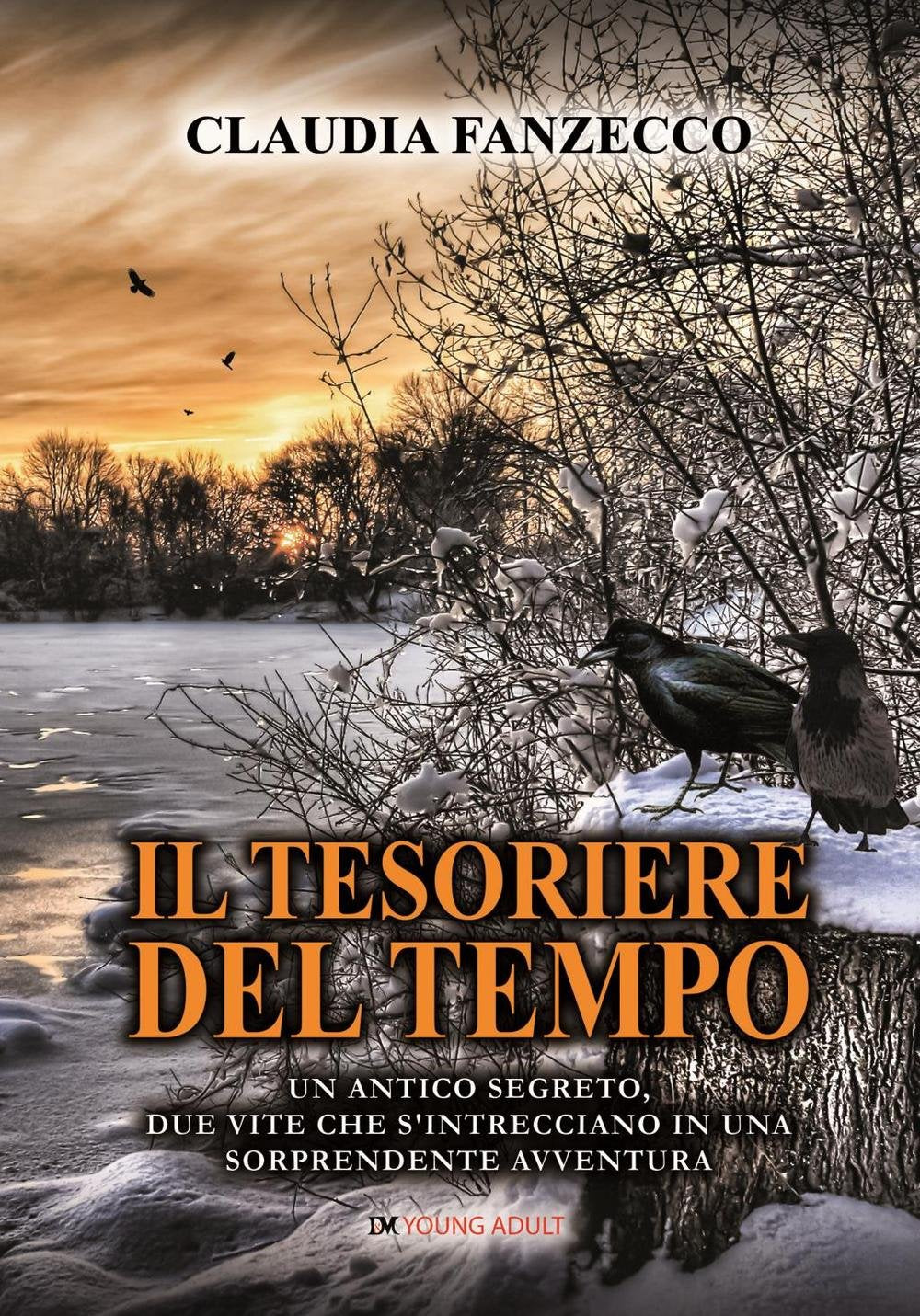 Il tesoriere del tempo. Un antico segreto, due vite che s'intrecciano in una sorprendente avventura book