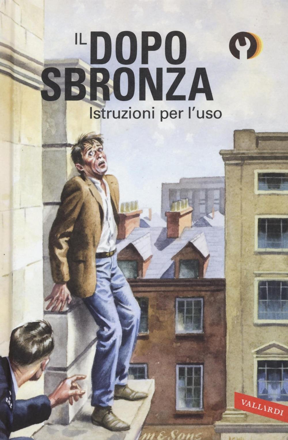 Il dopo sbronza. Istruzioni per l'uso book