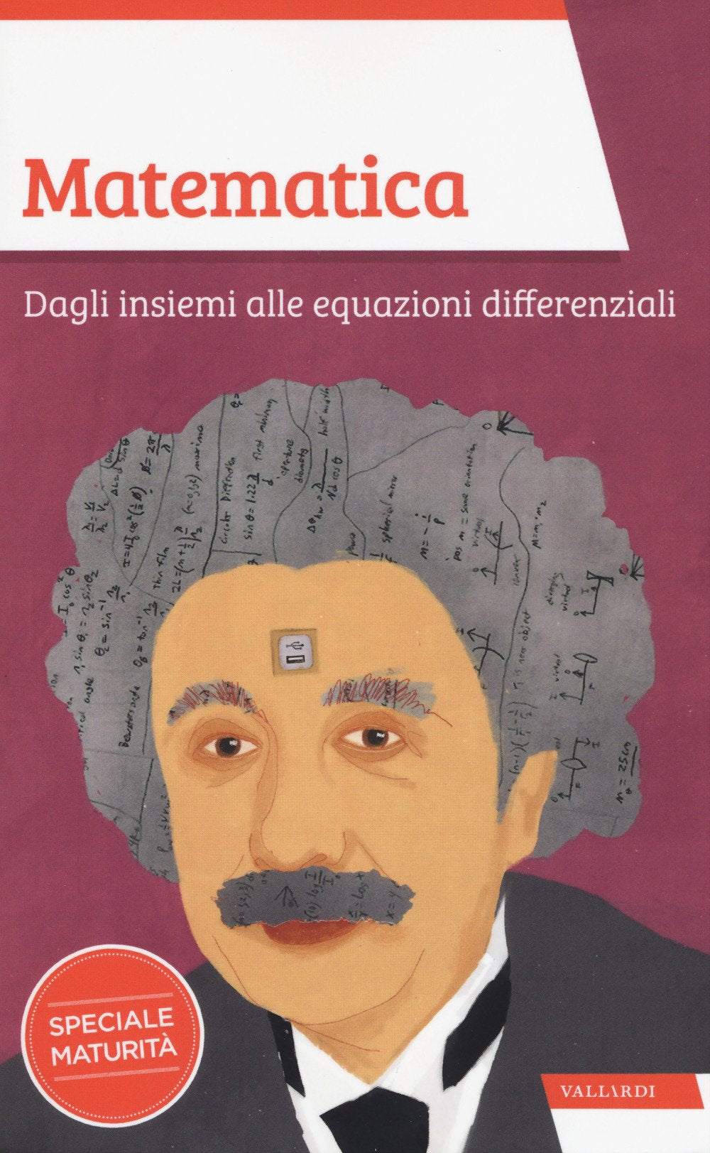 Matematica. Dagli insiemi alle equazioni differenziali book