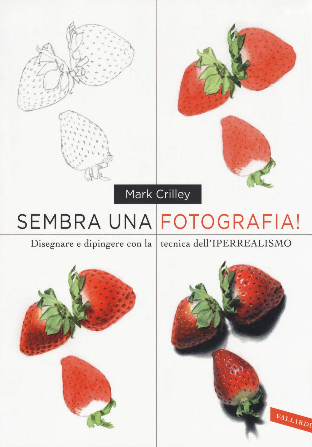 Sembra una fotografia! Disegnare e dipingere con la tecnica dell'iperrealismo book