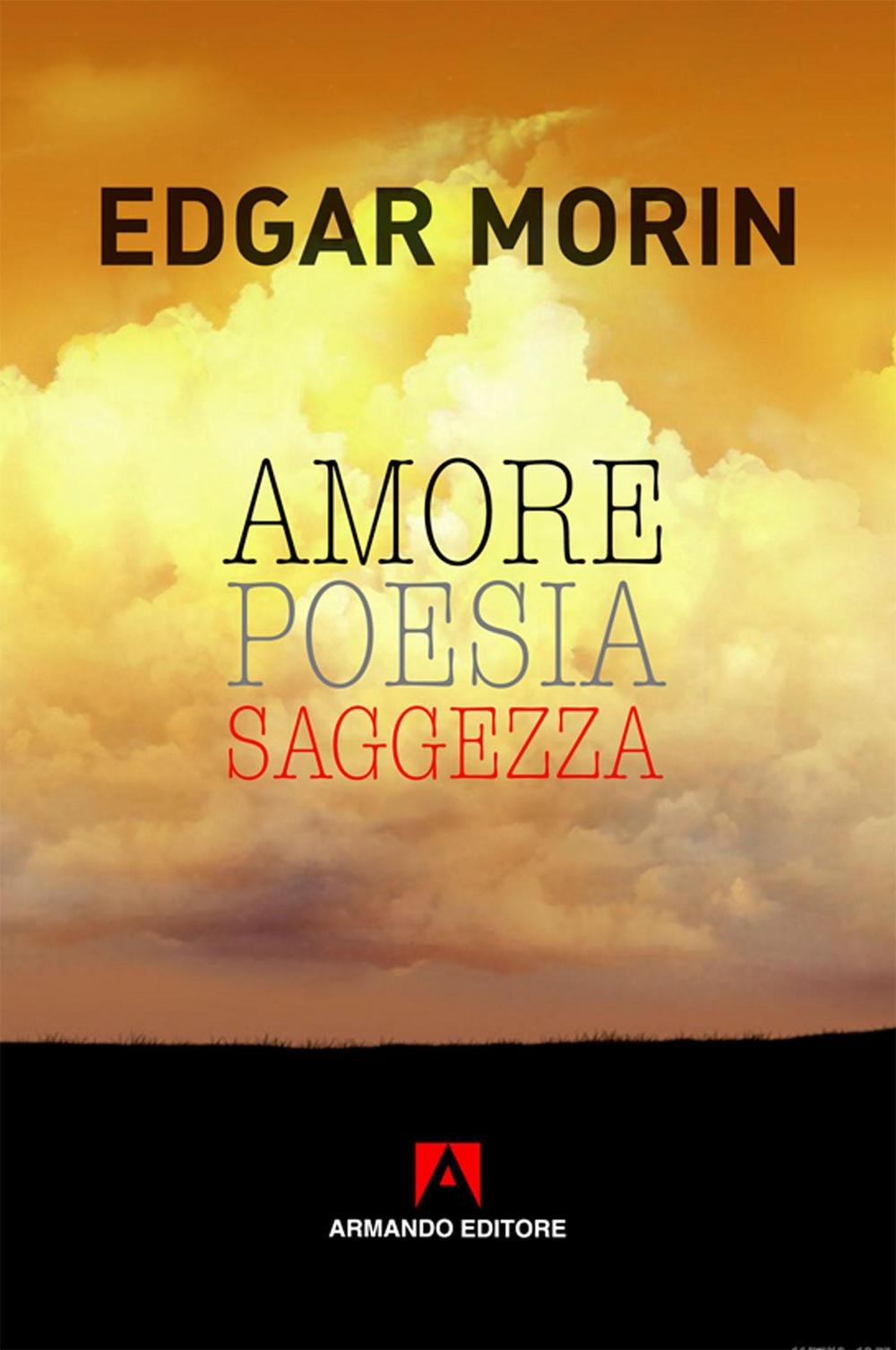 Amore, poesia, saggezza (Scaffale aperto/Filosofia) Philosophy
