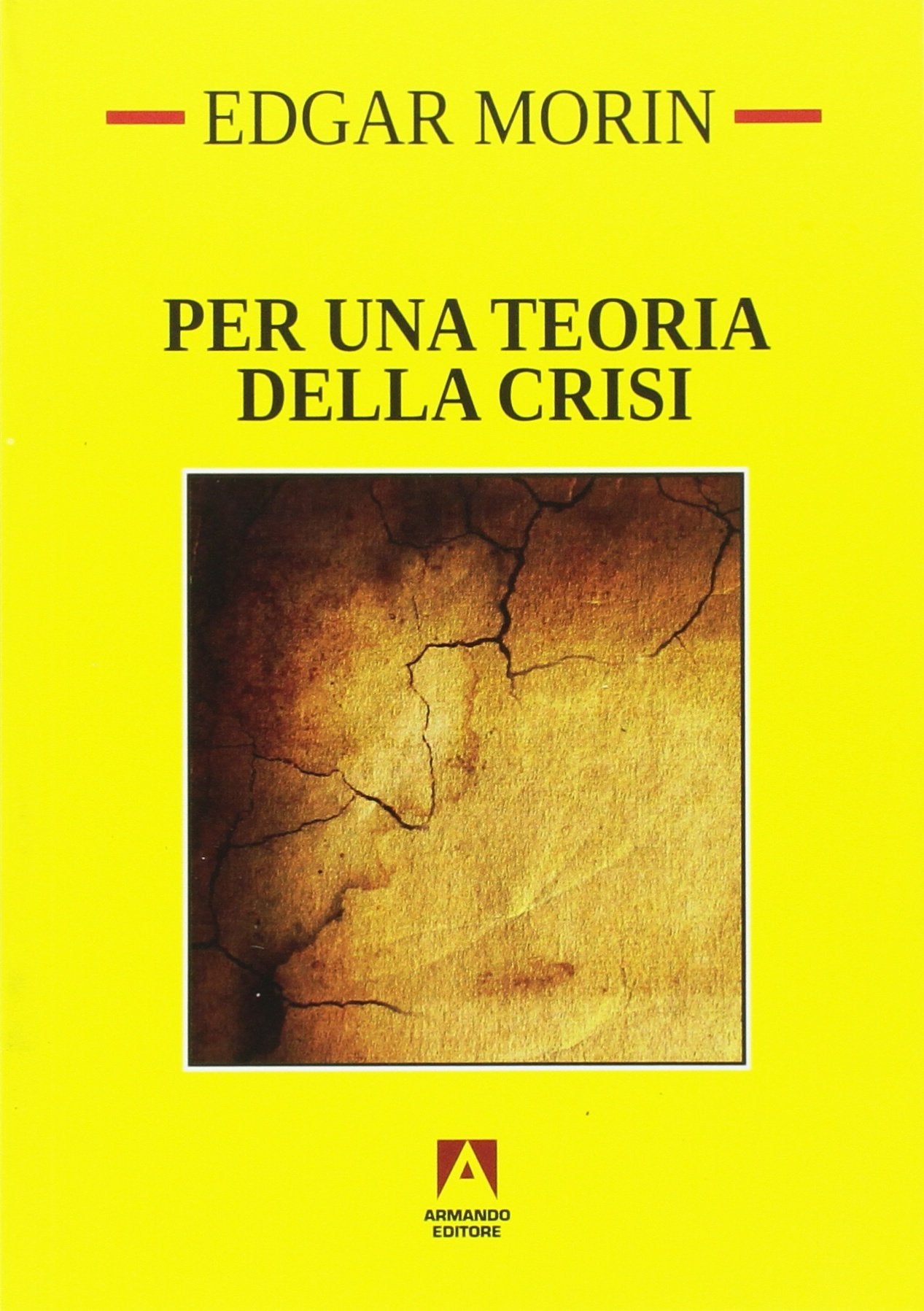 Per una teoria della crisi (Temi del nostro tempo) Social Sciences
