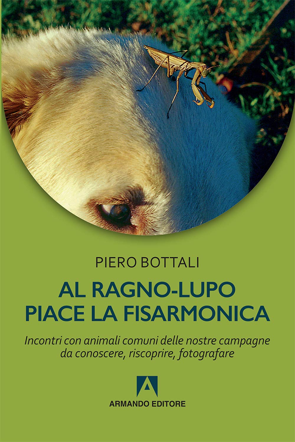 Al ragno-lupo piace la fisarmonica. Incontri con animali comuni delle nostre campagne da conoscere, riscoprire, fotografare book