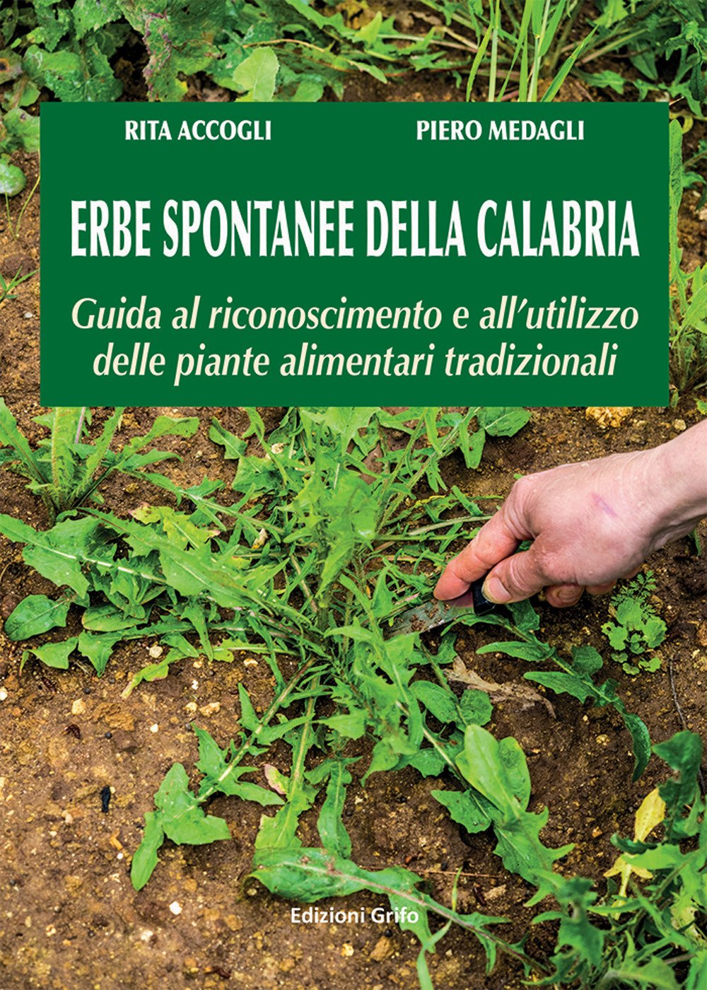 Erbe spontanee della Calabria. Guida al riconoscimento e all'utilizzo delle piante alimentari tradizionali Leisure, Home & Garden