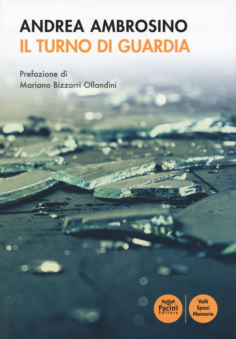 Il turno di guardia (Volti, spazi, memorie) Social Sciences