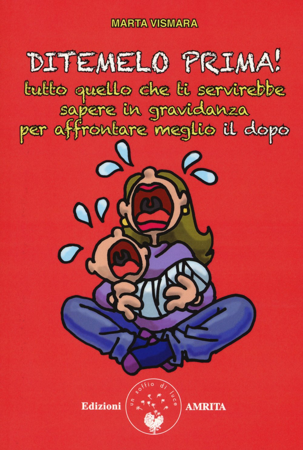 Ditemelo prima! Tutto quello che ti servirebbe sapere in gravidanza per affrontare meglio il dopo book