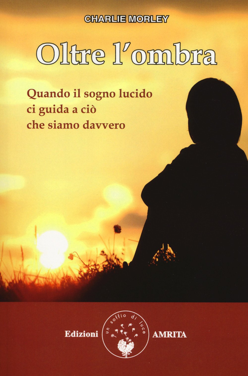 Oltre l'ombra. Quando il sogno lucido ci guida a ciò che siamo davvero Psychology