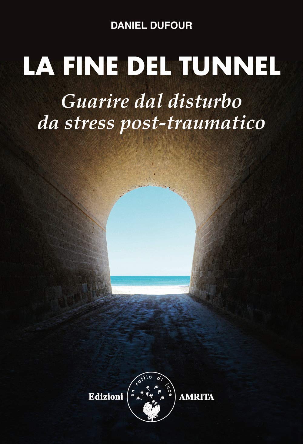 La fine del tunnel. Guarire dal disturbo da stress post-traumatico book