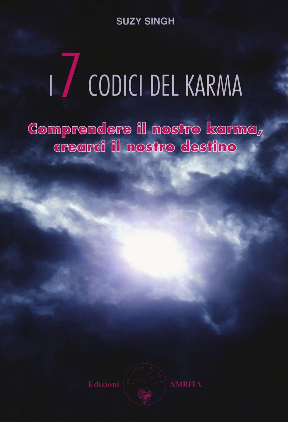 I sette codici del karma. Comprendere il nostro karma, crearci il nostro destino book