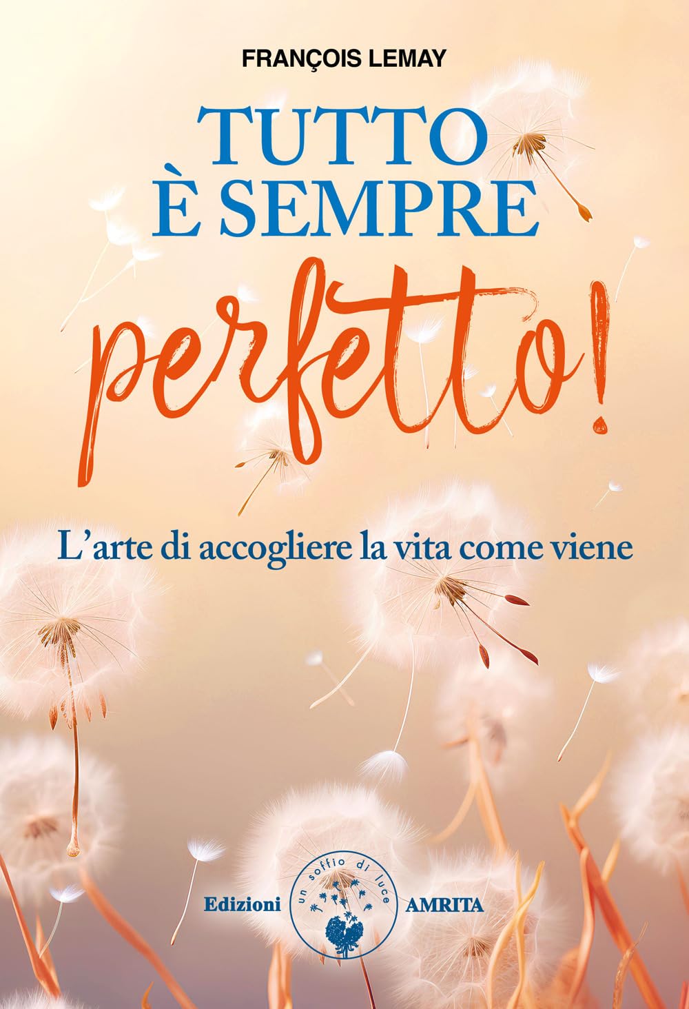 Tutto è sempre perfetto! L'arte di accogliere la vita come viene book