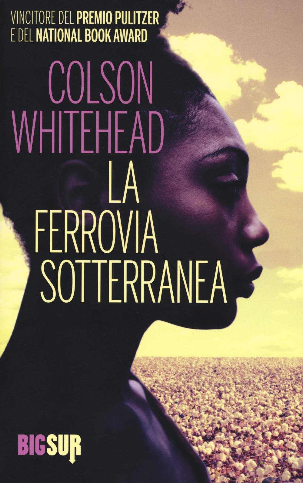 La ferrovia sotterranea (BigSur) Historical Fiction