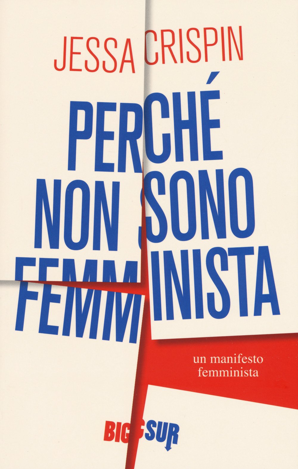 Perché non sono femminista book