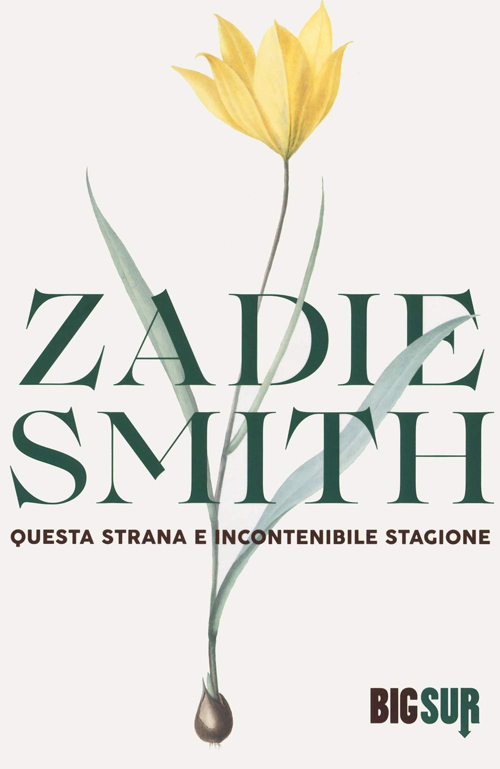 Questa strana e incontenibile stagione book