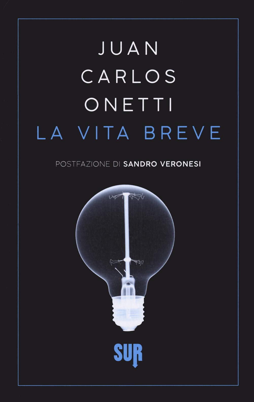 La vita breve book