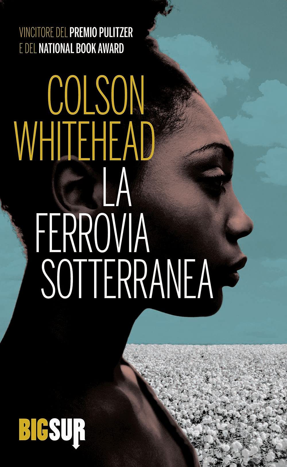 La ferrovia sotterranea (BigSur) Historical Fiction