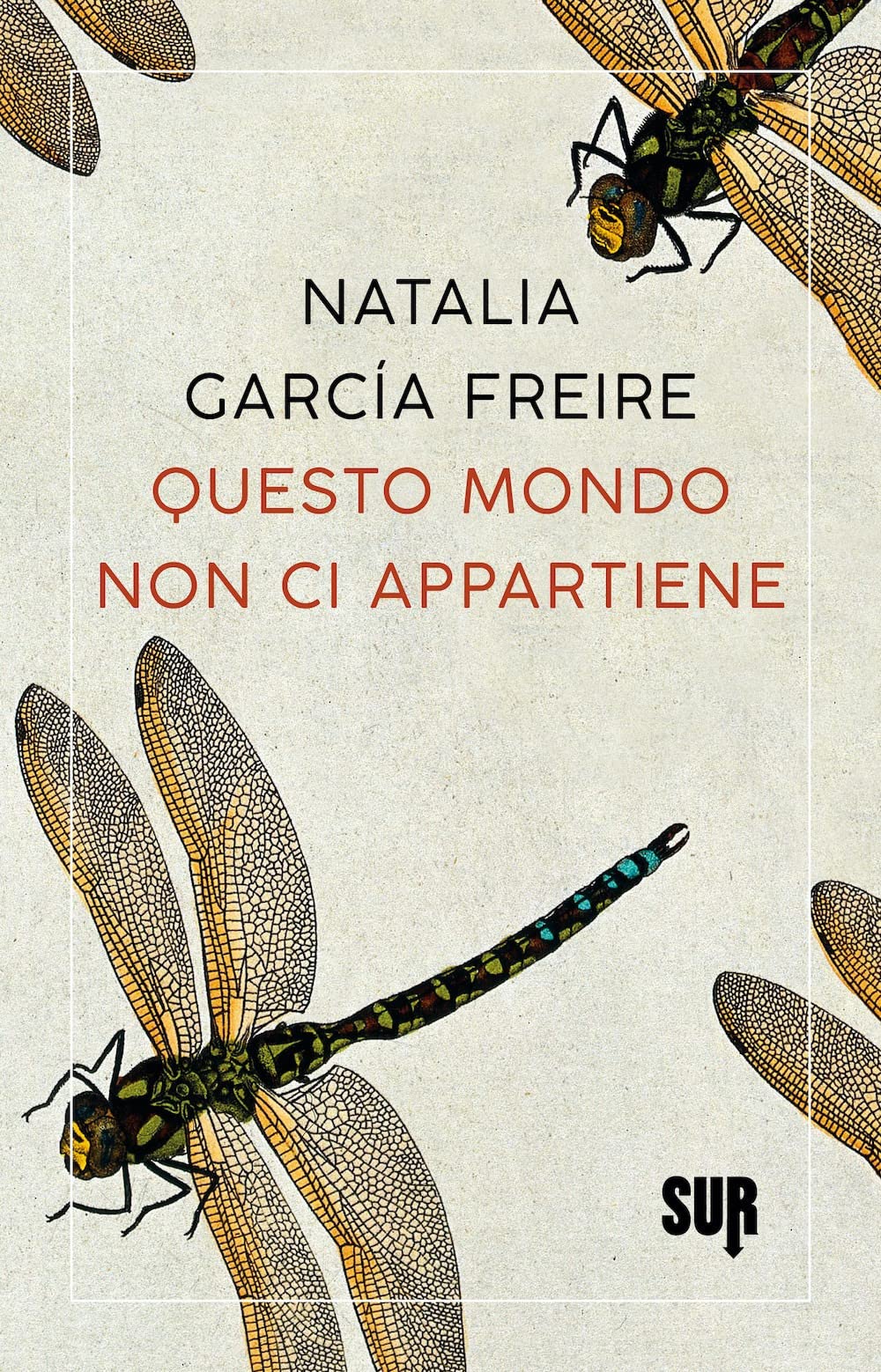 Questo mondo non ci appartiene book