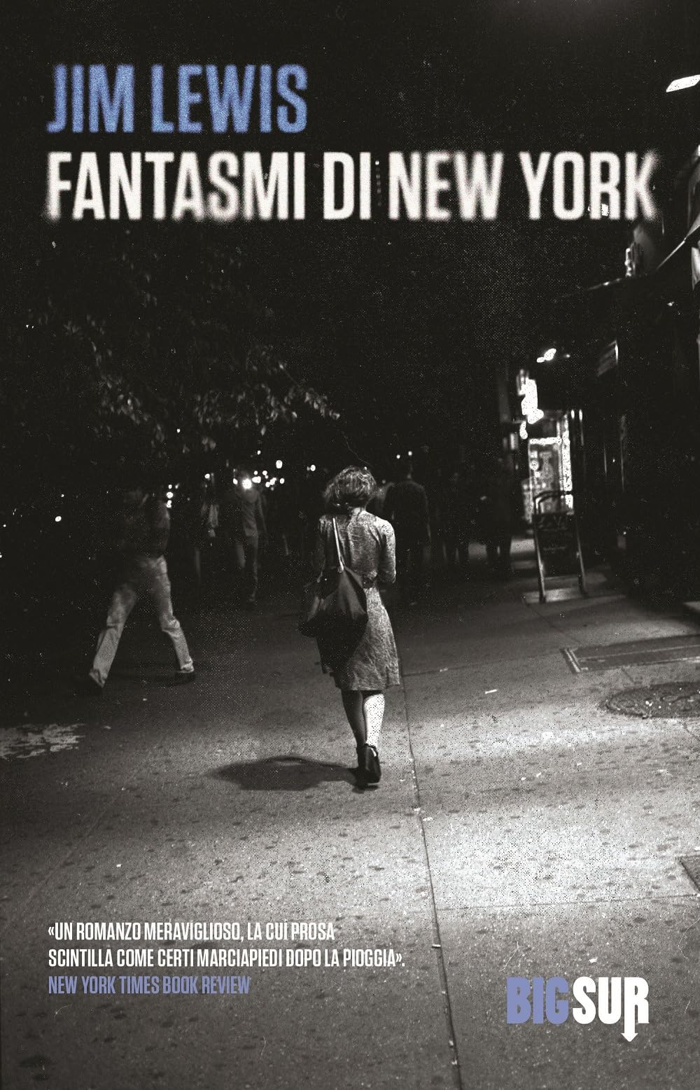 Fantasmi di New York book