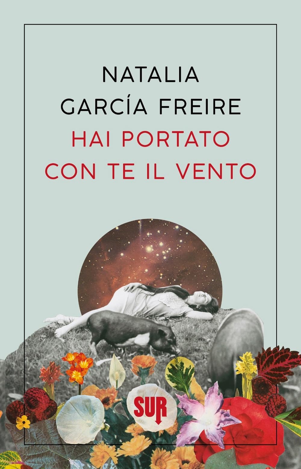 Hai portato con te il vento book