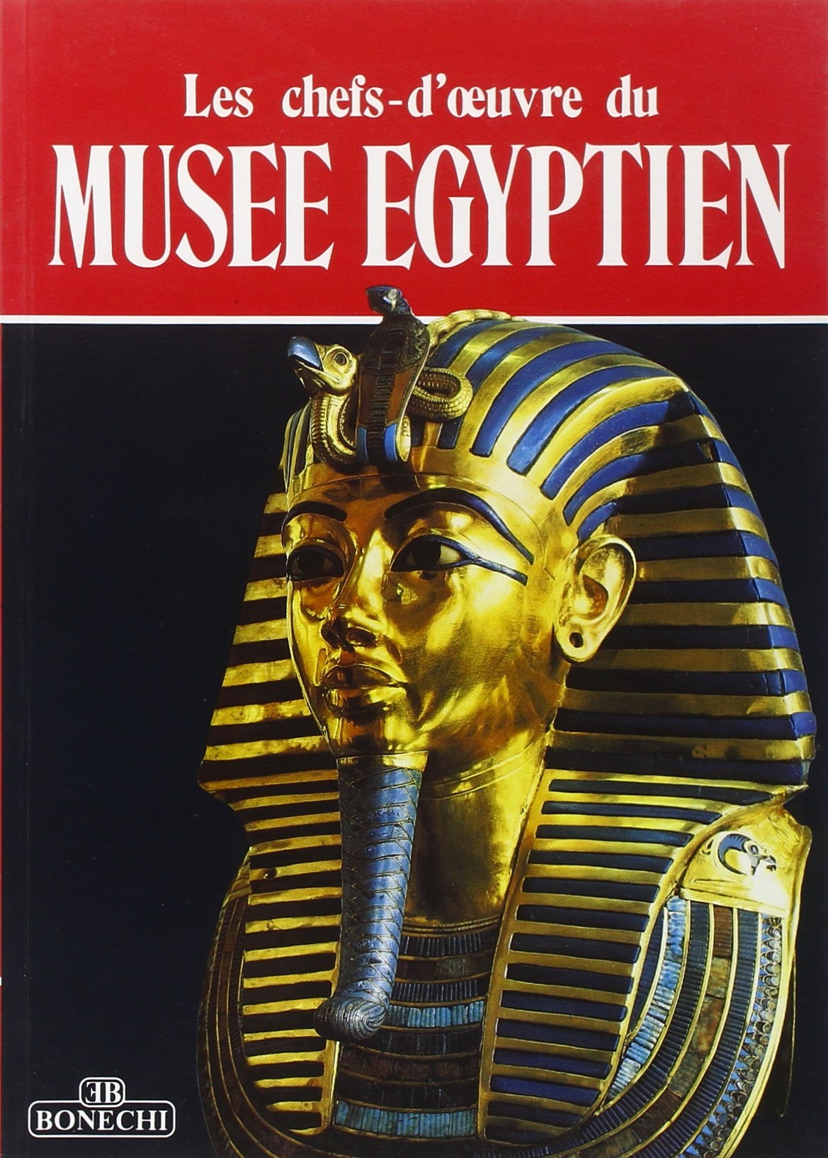 Les chefs-d'oeuvre du Musée egyptien du Caire book