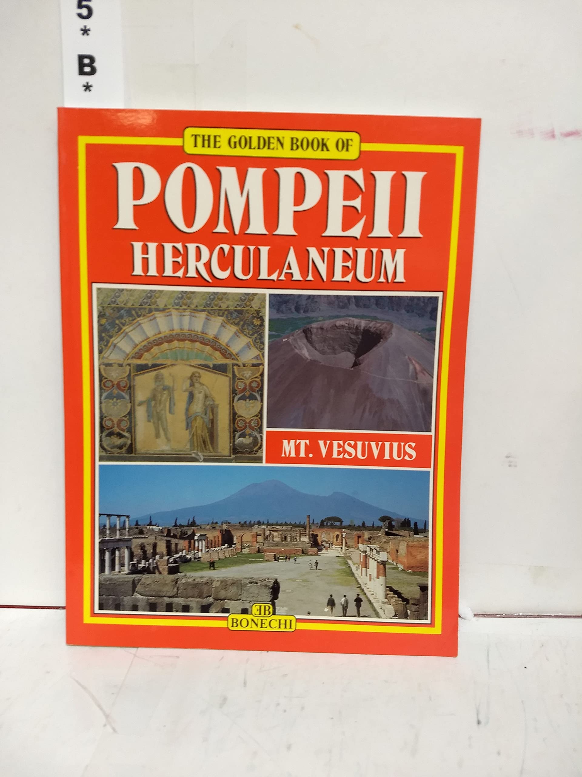 Pompeii, Herculaneum, Mt. Vesuvius (Bonechi Golden Book Collection) Social Sciences