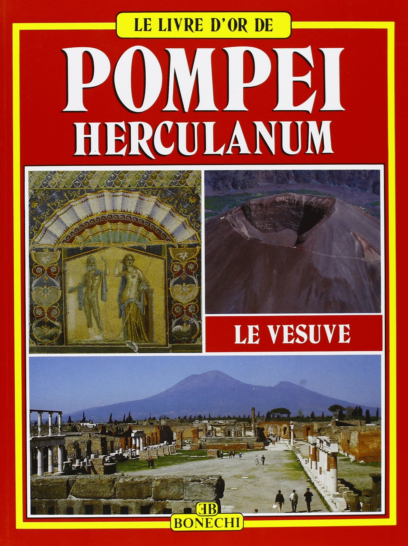 Livre d'Or: Pompéi, Herculanum et le Vésuve Leisure, Home & Garden