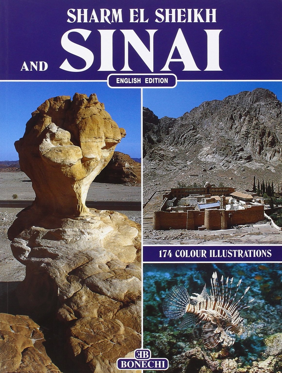 The peninsula of Sinai (Classici per il turismo) Leisure, Home & Garden